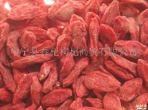寧夏枸杞 農副土特產品中的瑰寶