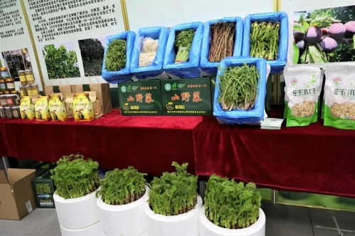 吉林有約 全民做冬丨探冬捕風情，逛年貨盛會，盡享農副土特產品