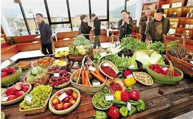 從負債150萬到資產超億元,魯家村經歷了什么?