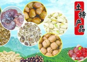 2018年陜西供銷·合陽年貨大展銷 品味農副土特，喜迎新春佳節